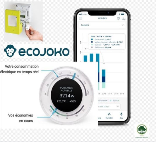 Suivre sa consommation électrique présente plusieurs avantages
