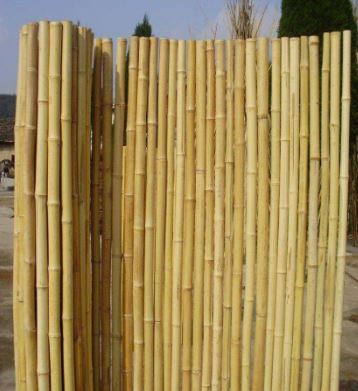 Canisse Bambou Rond Entier 2M X 2M / CBRO2002