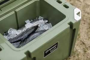 Glacière Passive Petromax 25 Litres Olive