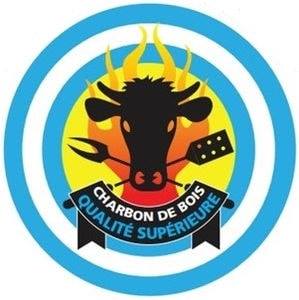 Brique compressée FOGON - Pack De 9,6 Kg - 12 briques en RETRAIT DRIVE