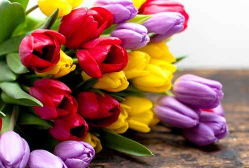 Cultiver un jardin de fleurs à couper peut en effet devenir une aventure florale personnalisée