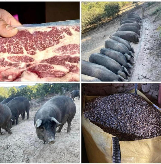Charcuterie Cuite :  Conserves Et Pâtés De 200G